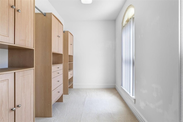 walk in closet with light carpet