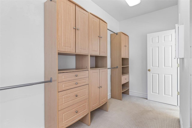 spacious closet with light carpet