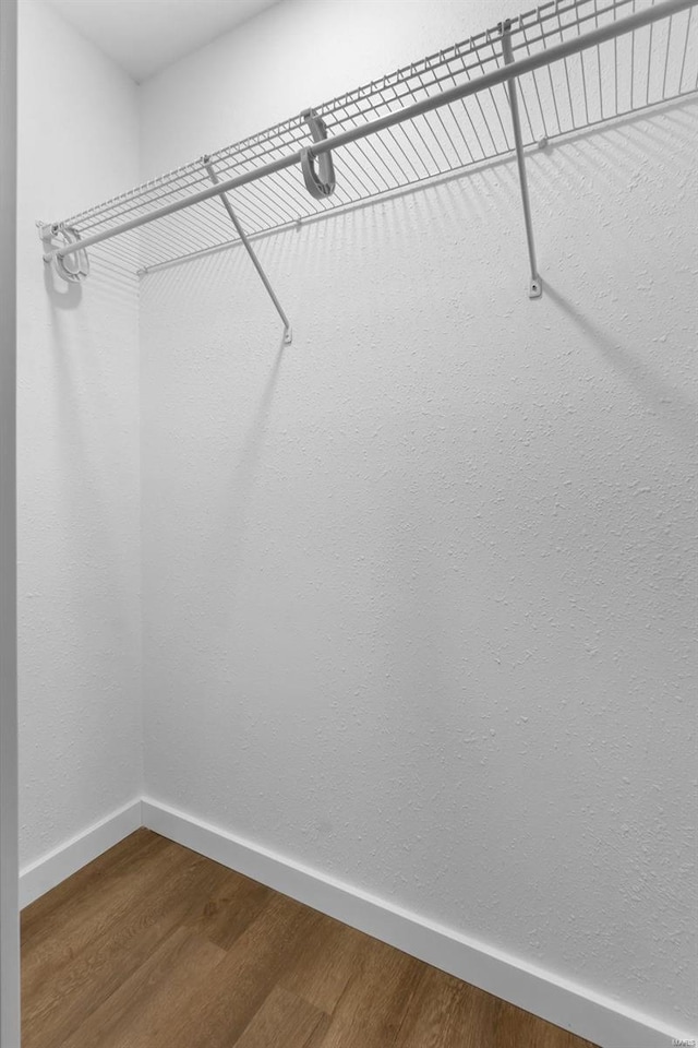 spacious closet featuring dark wood-type flooring