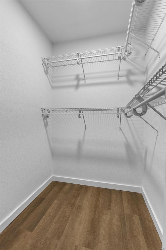 walk in closet featuring dark wood-style flooring