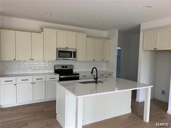 kitchen featuring tasteful backsplash, appliances with stainless steel finishes, a sink, and wood finished floors