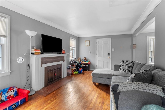 living area featuring crown molding, a fireplace, and wood finished floors