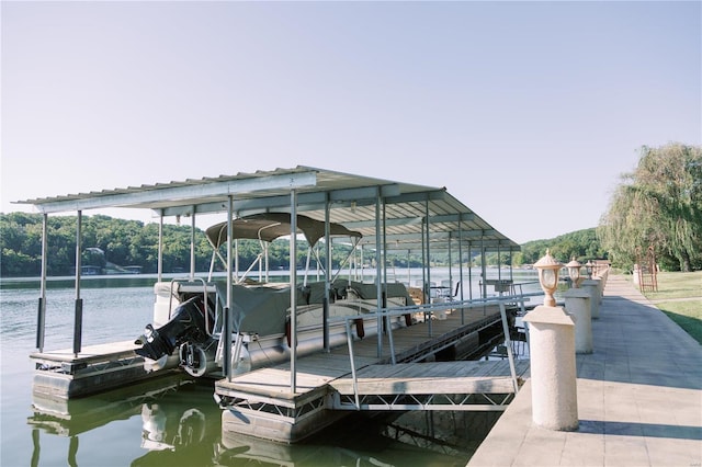 dock area with a water view