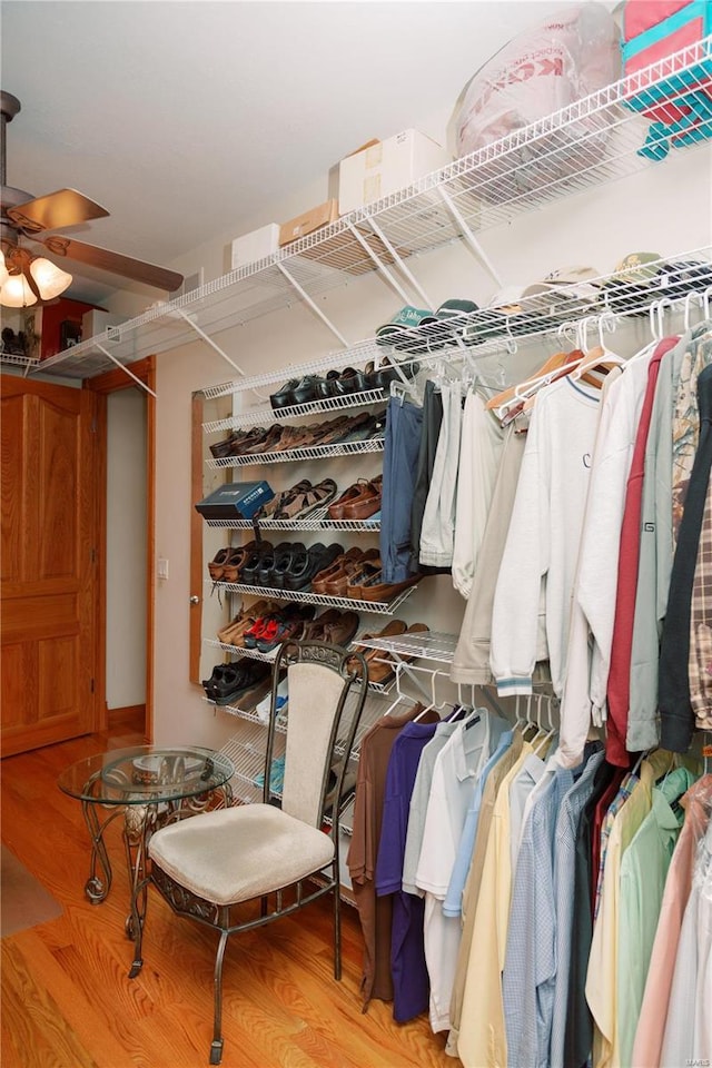 spacious closet featuring a ceiling fan and wood finished floors