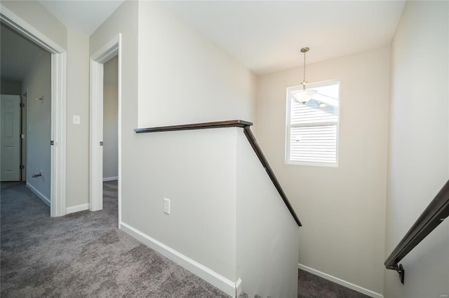 stairway featuring carpet flooring and baseboards