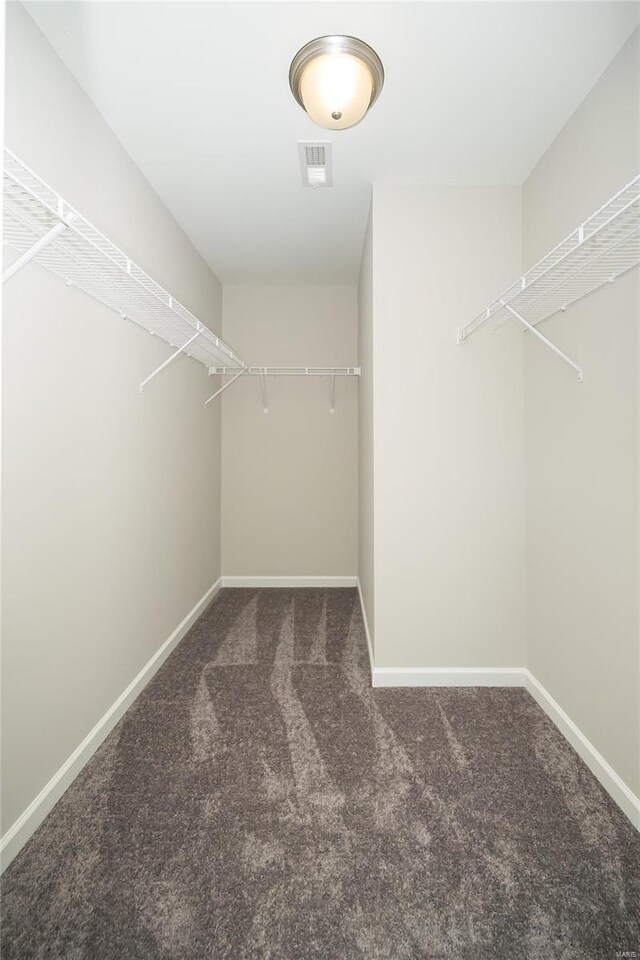 spacious closet featuring visible vents and carpet flooring