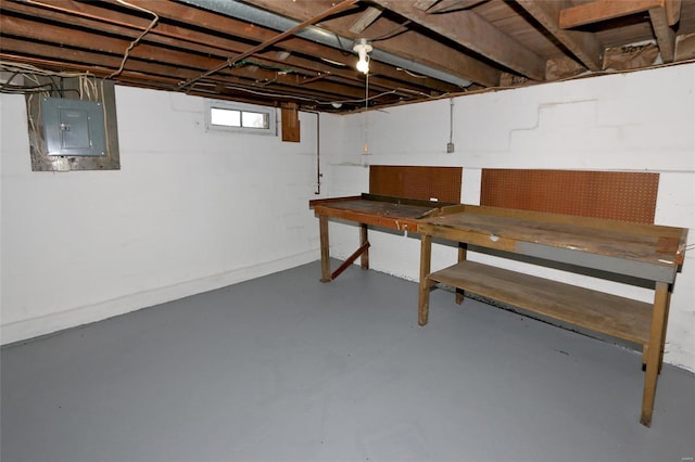 basement featuring a workshop area and electric panel