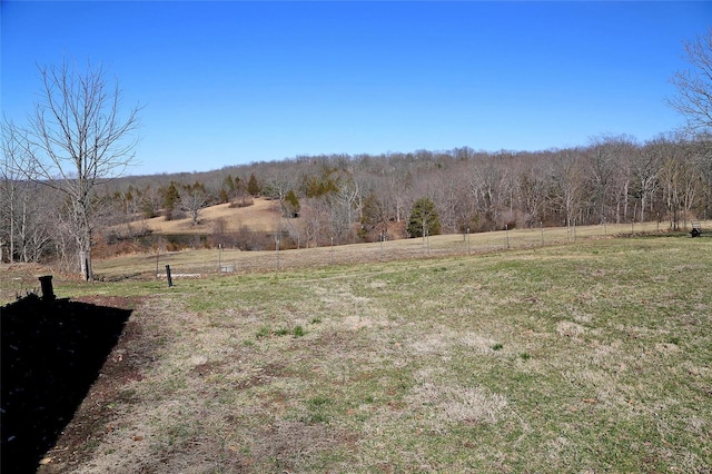 view of yard featuring a forest view and a rural view