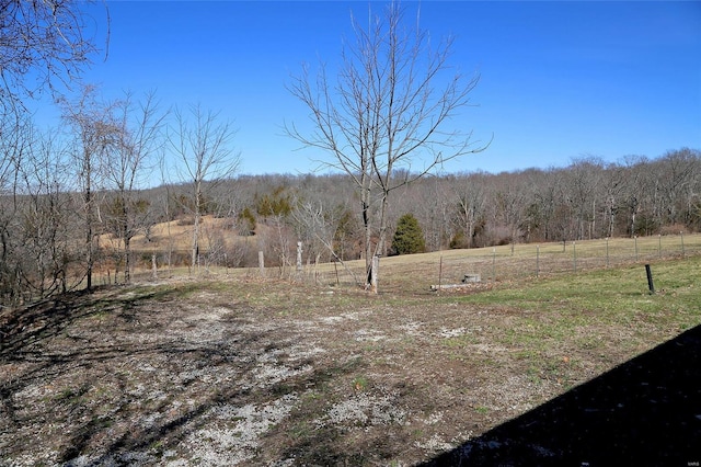 view of yard with a rural view and a view of trees