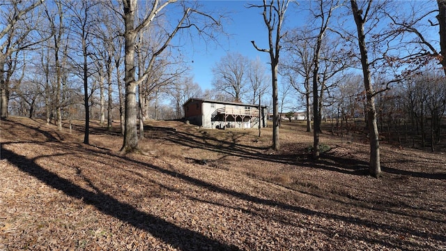 view of yard featuring an outdoor structure