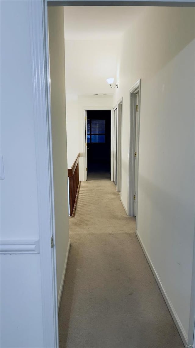 hall featuring light carpet