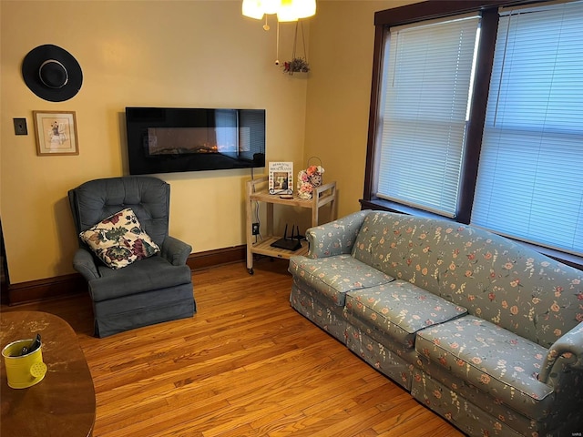 living room with baseboards and wood finished floors