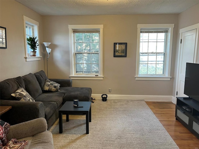 living room with a textured ceiling, baseboards, and wood finished floors