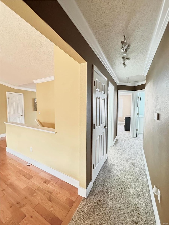 hall with a textured ceiling, crown molding, baseboards, and wood finished floors