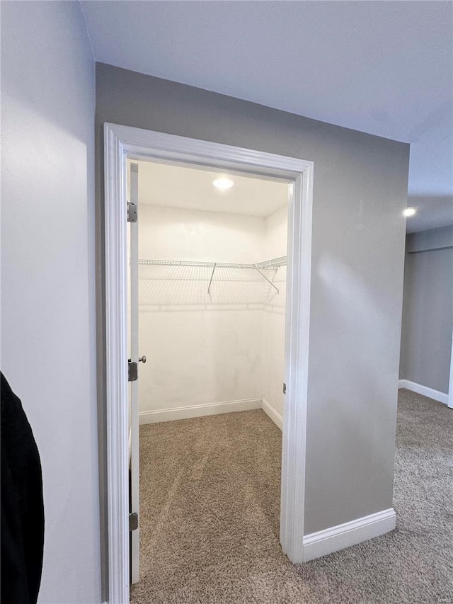 spacious closet with carpet flooring