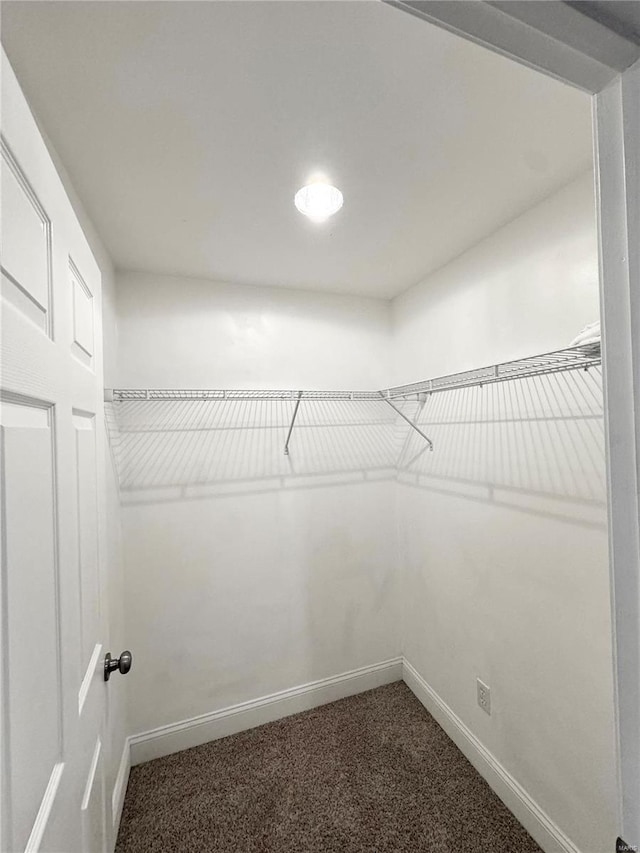 walk in closet with dark carpet