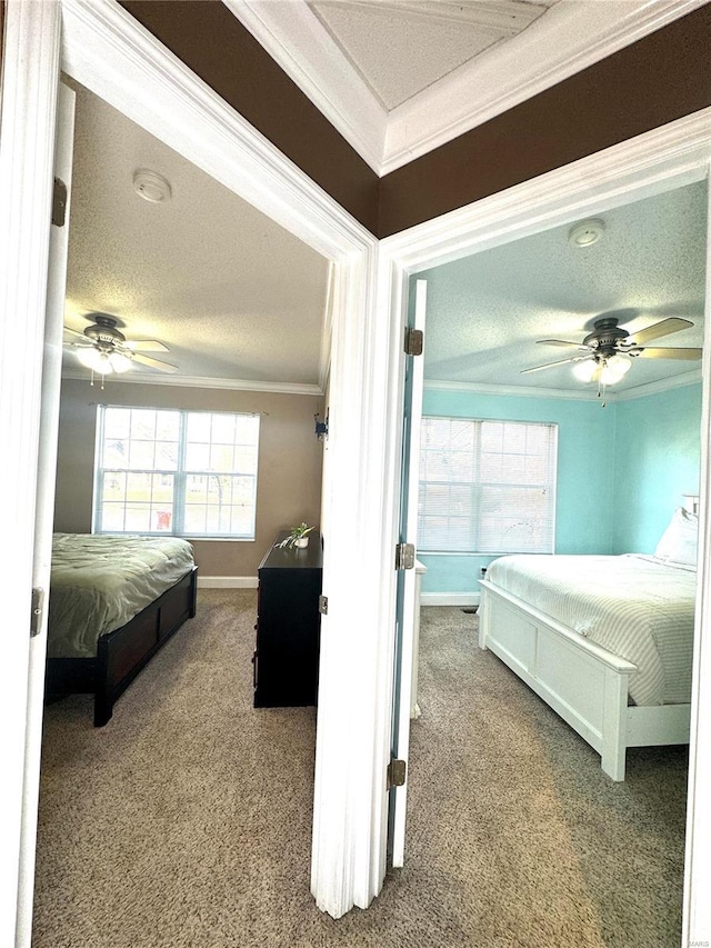 carpeted bedroom with ceiling fan, crown molding, baseboards, and a textured ceiling