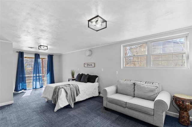 bedroom with baseboards, a textured ceiling, access to exterior, and carpet flooring