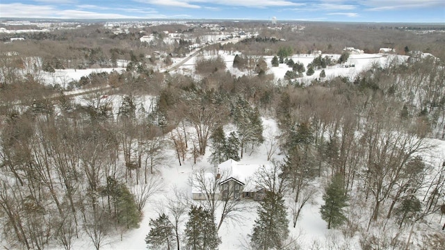 view of snowy aerial view