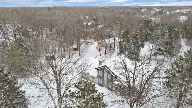 view of snowy aerial view