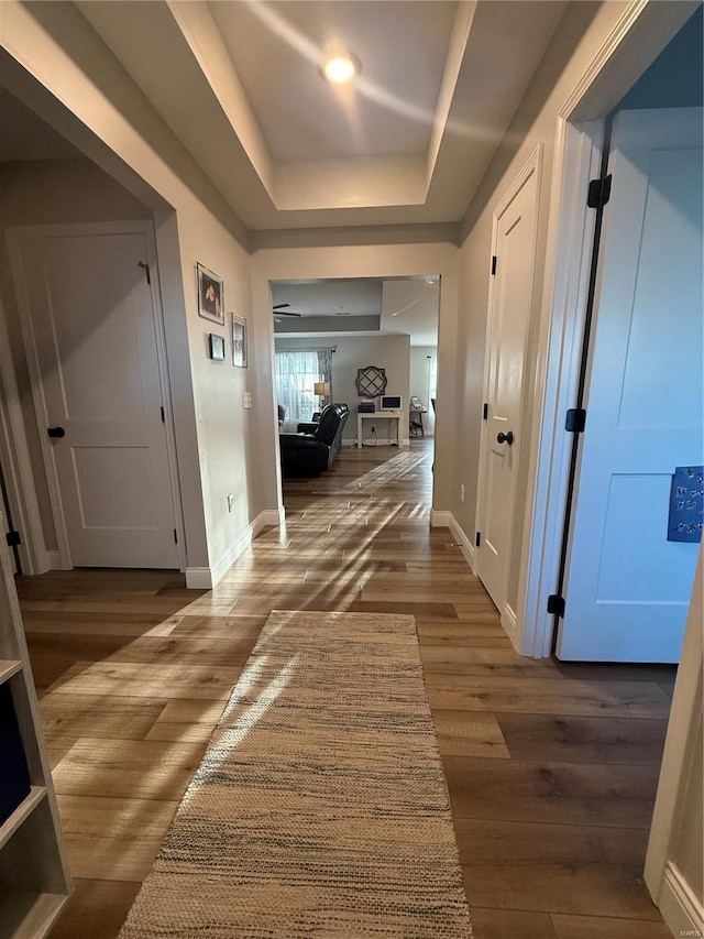 hallway featuring baseboards, a tray ceiling, and wood finished floors