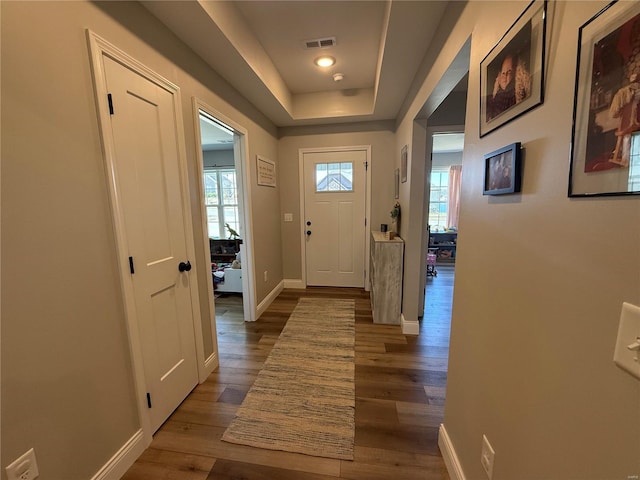 doorway with a wealth of natural light, a tray ceiling, and wood finished floors