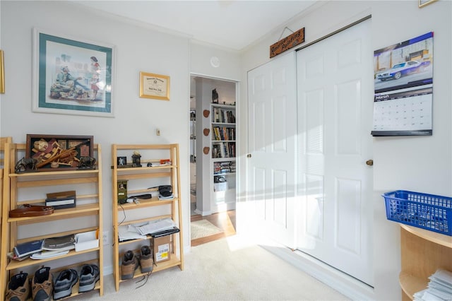 hallway with ornamental molding and carpet