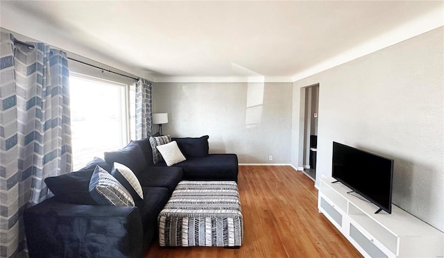 living area featuring baseboards and wood finished floors