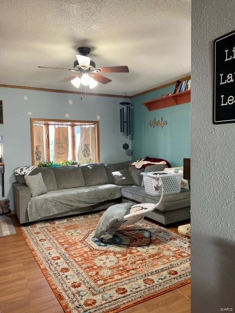 living area with a textured ceiling, ceiling fan, ornamental molding, and light wood-style flooring