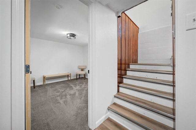 stairs with baseboards and carpet