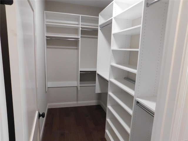 walk in closet with dark wood-style flooring