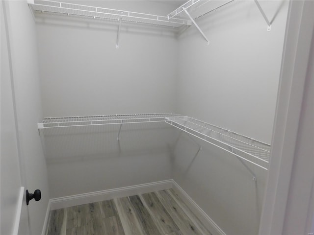 walk in closet with wood finished floors