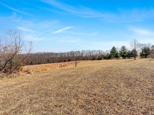 view of landscape with a rural view