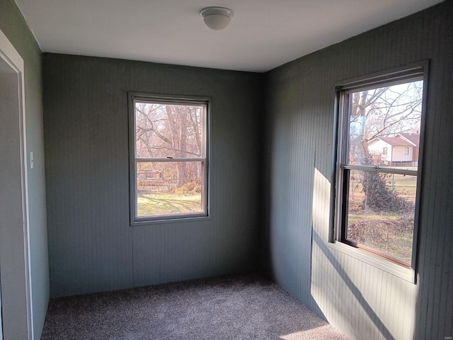 spare room with carpet flooring and plenty of natural light