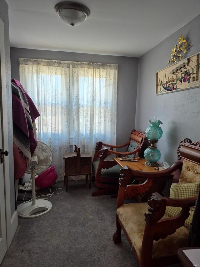 living area with carpet floors