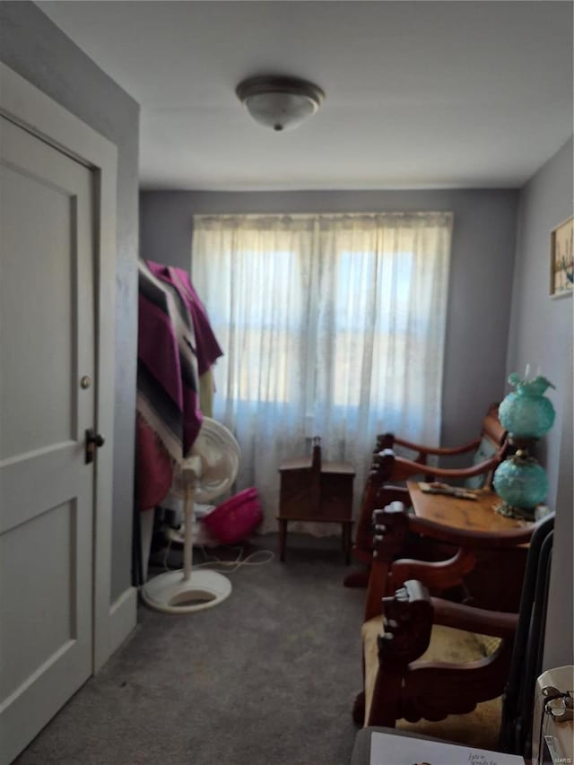 bedroom with multiple windows and carpet flooring