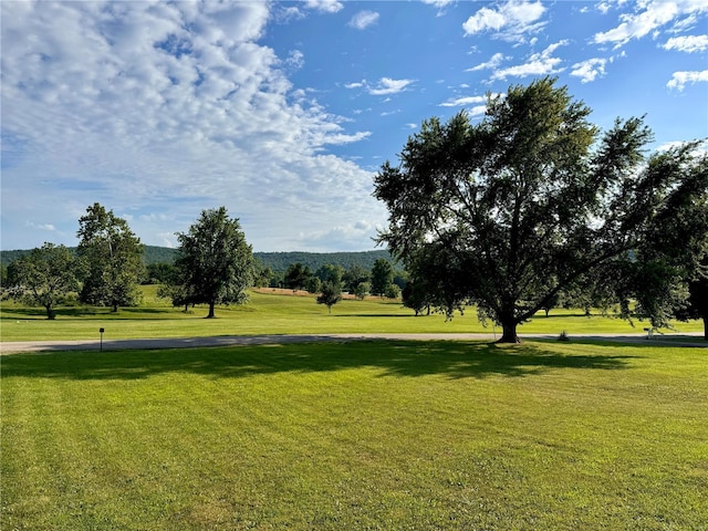 view of property's community featuring a lawn