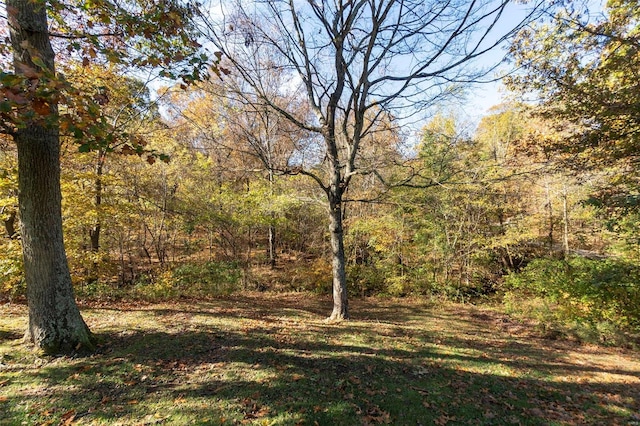 view of nature with a forest view