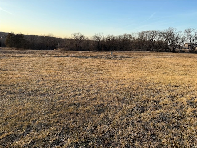 view of landscape with a rural view