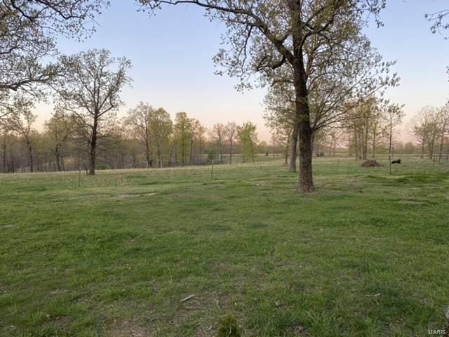 view of yard at dusk