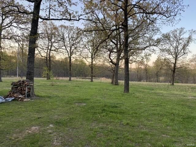 view of yard at dusk