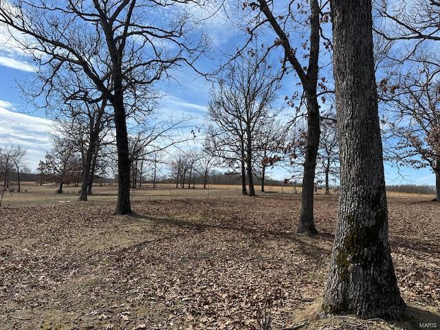 view of landscape