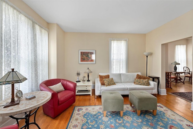 living area featuring wood finished floors