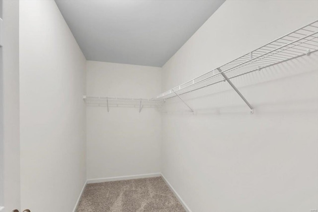 spacious closet with carpet flooring