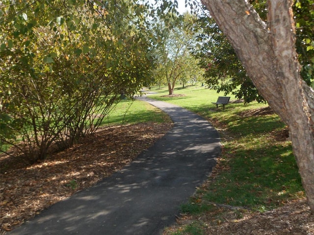 surrounding community featuring a lawn