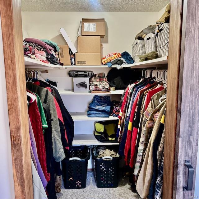 spacious closet with carpet flooring