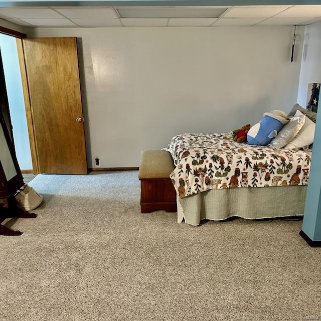 carpeted bedroom with a drop ceiling and baseboards