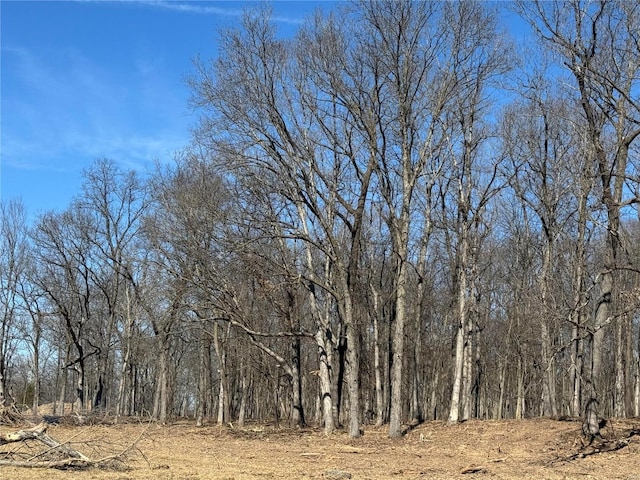 view of local wilderness with a view of trees