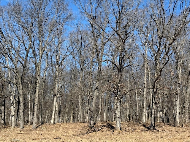 view of nature featuring a wooded view