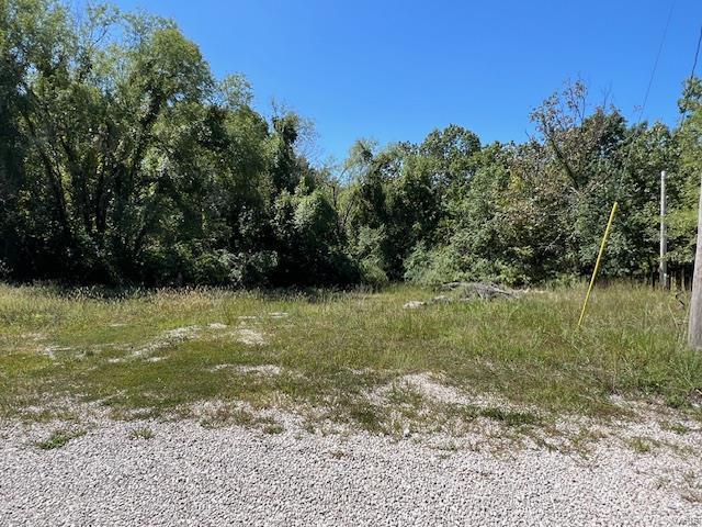 view of local wilderness